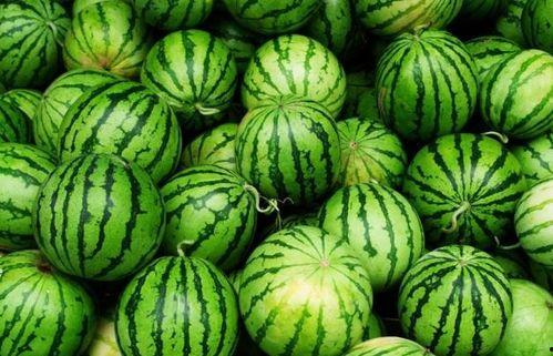 四人吃瓜视频免费观看,免费观看吃瓜视频盛宴